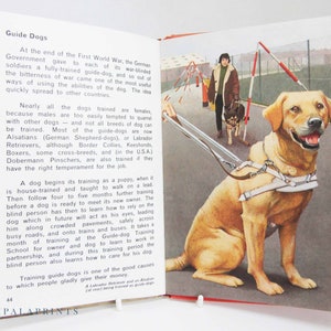 Książka Ladybird of Dogs z ilustracjami z 1968 r. Książka w twardej oprawie Vintage, prezent, kolekcjonerski prezent dla psa