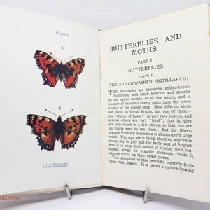 Butterflies & Moths - Colour plates Vintage Hardback 1920s Natural History gift Illustrated picture book