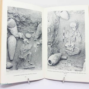 Egypt History Book Illustrated Archaeology book History book illustrated Egyptian temples textbook earth structures