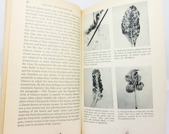 Beyond the Microscope Science book Biology Illustrated guide to the old guide diagrams and text