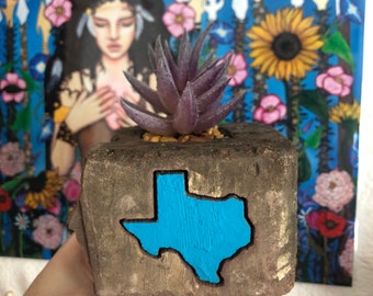 Texas shape engraved brick planter with faux succulent - desk and home decor