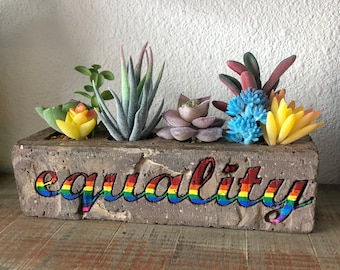 Equality engraved brick with faux succulents. Brick planter - garden & plant home decor