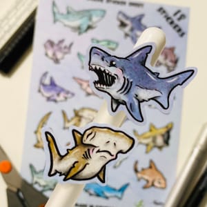 Shark Sticker Sheet! 18 Fun and educational shark stickers unique species waterproof, dishwasher safe, made in Colorado USA.