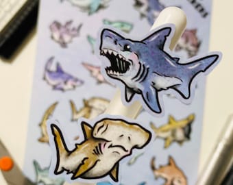 Shark Sticker Sheet! 18 Fun and educational shark stickers unique species waterproof, dishwasher safe, made in Colorado USA.