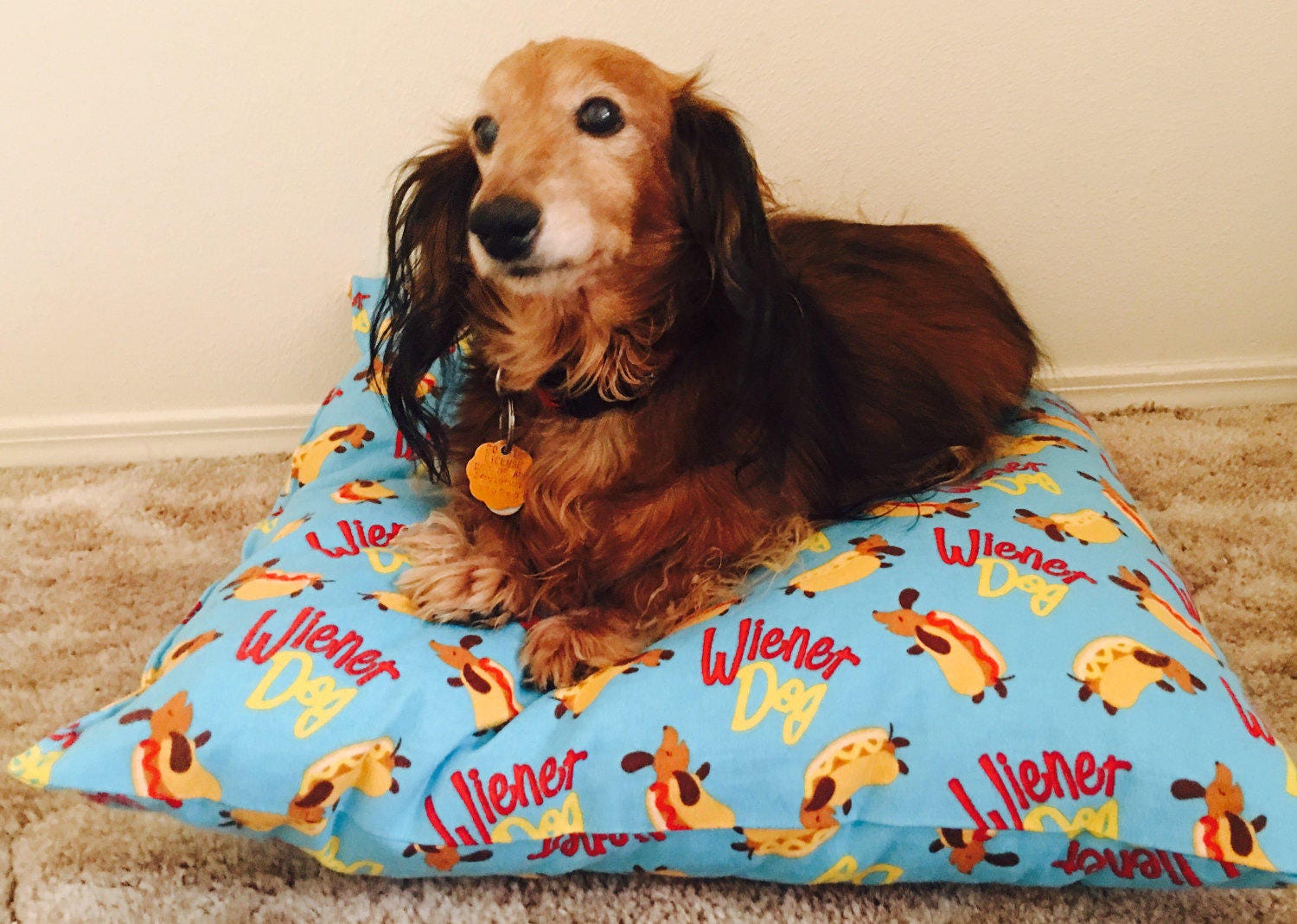 Handmade Dachshund Dog or Pet Bed Blue Wiener Dog in Hot Dog Etsy