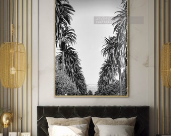 Hollywood Sign Photograph, Black and White Los Angeles Print, Black and White Photography, LA Print, Urban Decor, Palm Tree Print