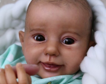 shaylen maxwell reborn