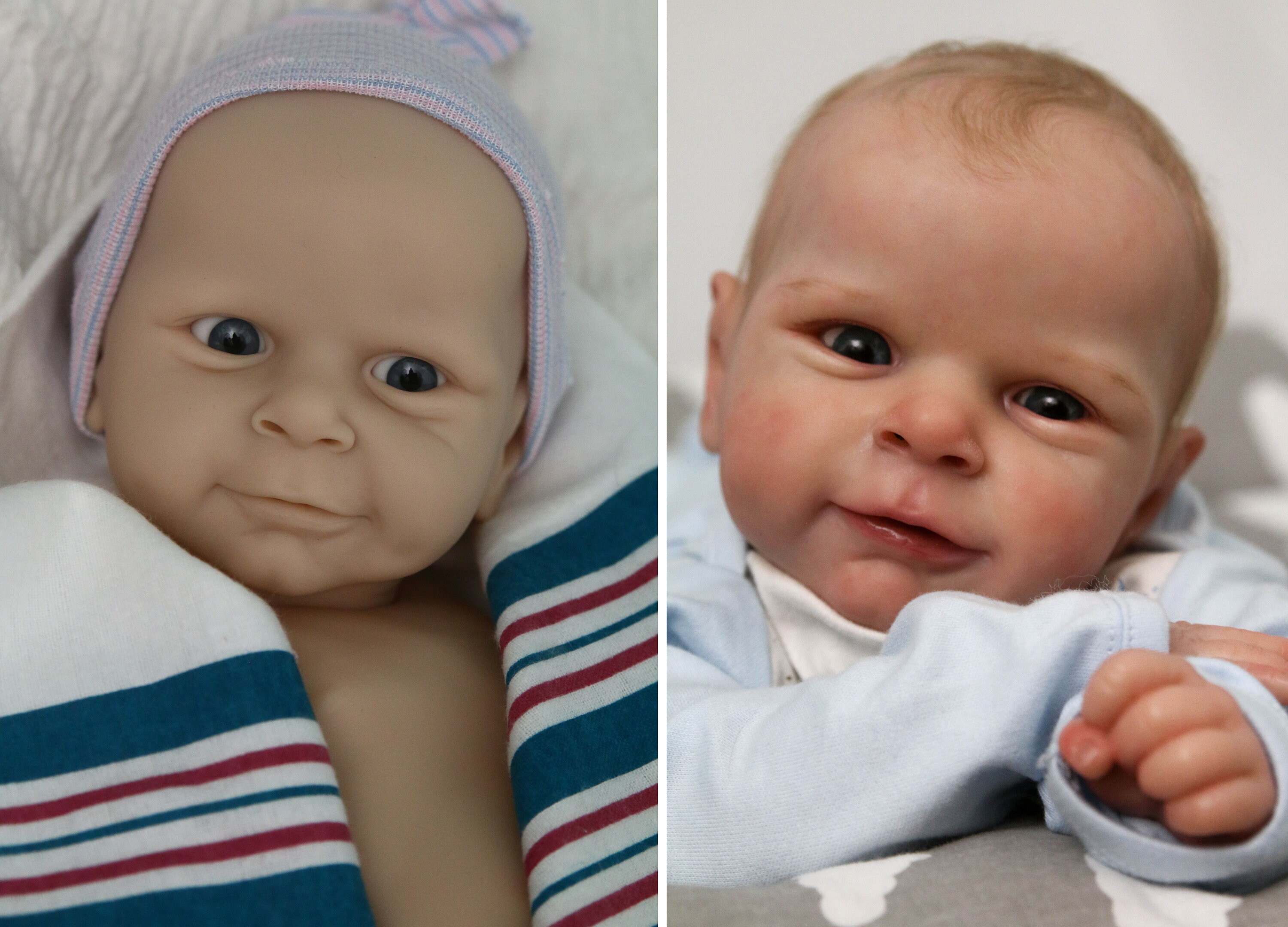 shaylen maxwell reborn