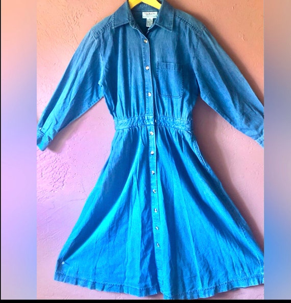 Adorable y2K denim zip up Blondie dress