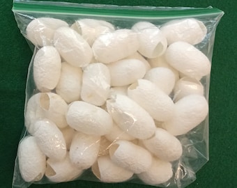 40 empty silk cocoons, Bombyx mori, also called Mulberry silk