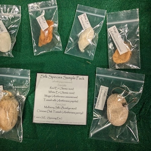 May include: A collection of silk species samples in clear plastic bags, including Red Eri, White Eri, Muga, Tussah silk, Mulberry Silk, and Chinese Oak Tussah. Each bag has a label with the silk type. A card lists the silk types. The samples are on a green surface.