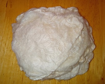 Eri silk cocoon cakes (Samia ricini), 10 g