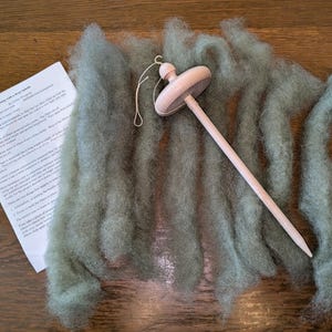 Learn to Spin Drop Spindle  Kit with 0.5 oz Dark Green Border Leicester Wool