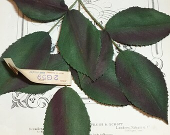 Vintage millinery leaves