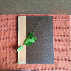 May include: A brown leather-bound book with a spine of light brown paper. A green vine with leaves is draped over the book.