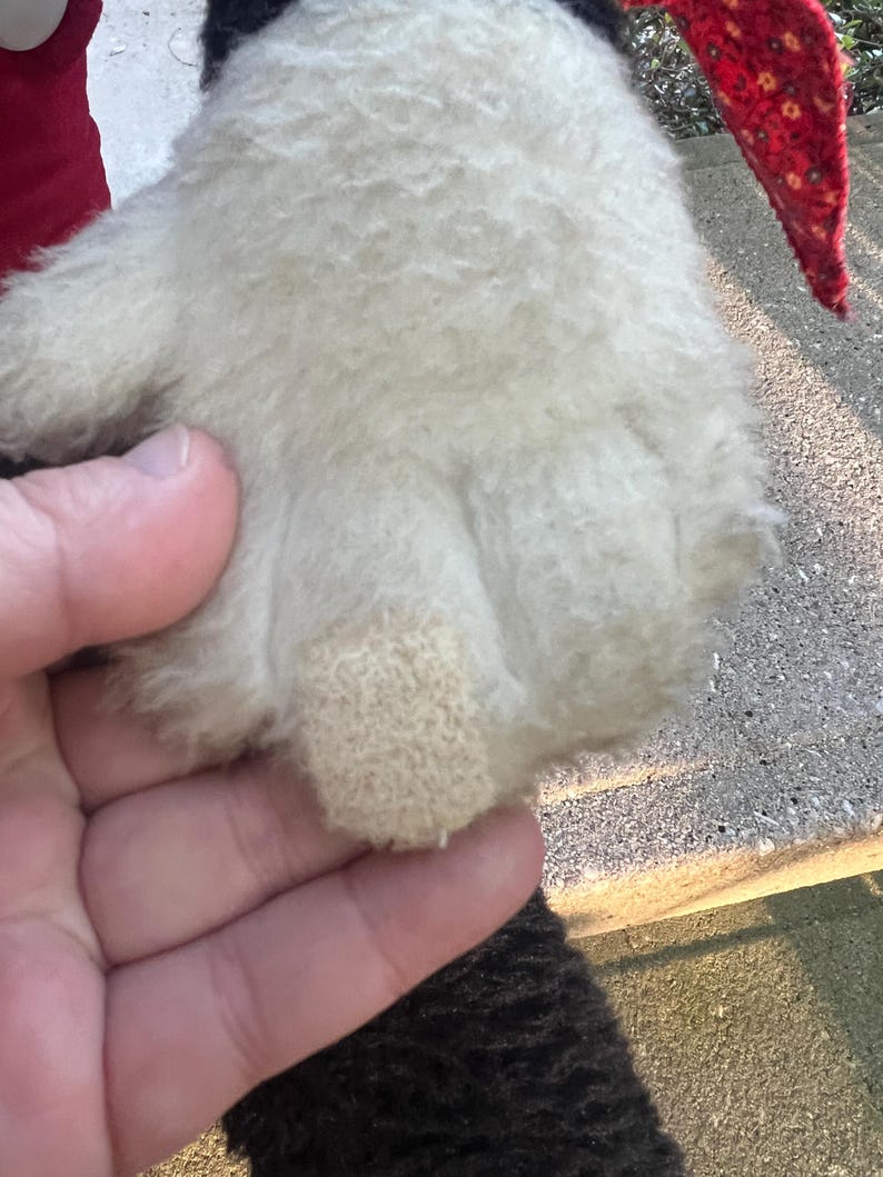 May include: Close-up of a plush toy's white paw with a beige textured pad. The toy has black fur and a red patterned ear. The paw is held by a hand.