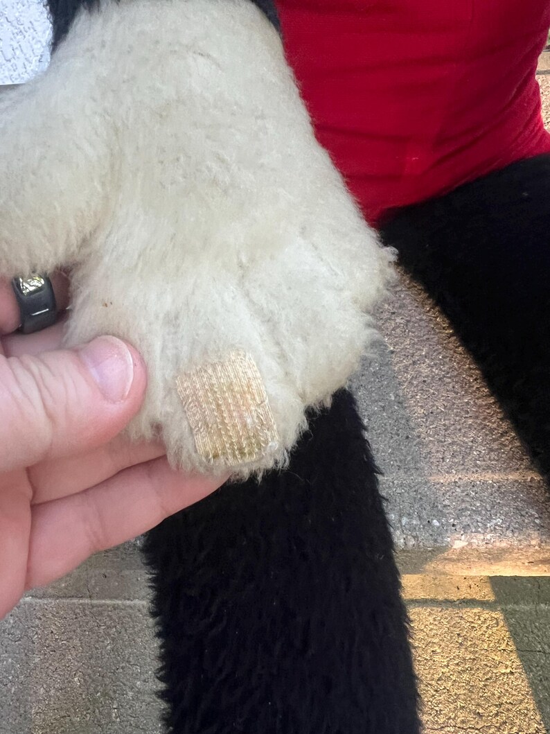 May include: Close-up of a plush toy's white paw with a beige velcro patch. The toy has black fur and a red garment visible in the background. The fur appears soft and fluffy.