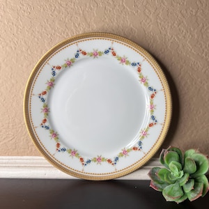 Plato de almuerzo antiguo de los años 20 – Tirschenreuth, Baviera, Alemania. Porcelana fina con guirnalda floral y ribete dorado.