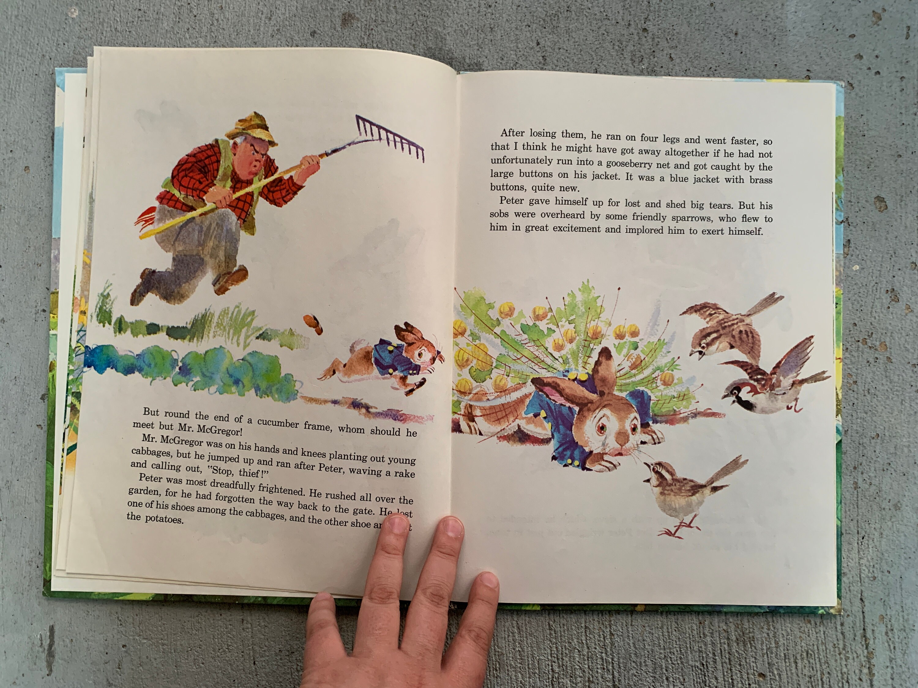 Vintage 1978 the Tale of Peter Rabbit by Beatrix Potter, Illustrated by ...