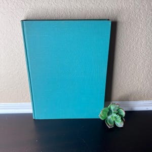 Può includere: Un libro turchese con una copertina strutturata è in posizione verticale su una superficie nera. Una piccola pianta succulenta con foglie verdi e rosse è vicina. Il dorso del libro è scuro e lo sfondo è beige neutro.