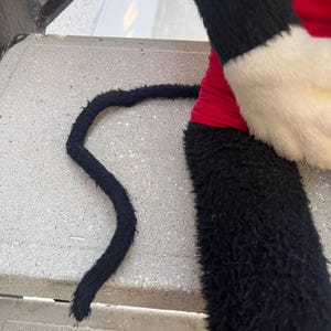 May include: A plush toy featuring a black and white furry arm and a black tail. The arm has a red sleeve and a white cuff. The tail is long and curved, lying on a concrete surface. The toy is likely a character from a cartoon.