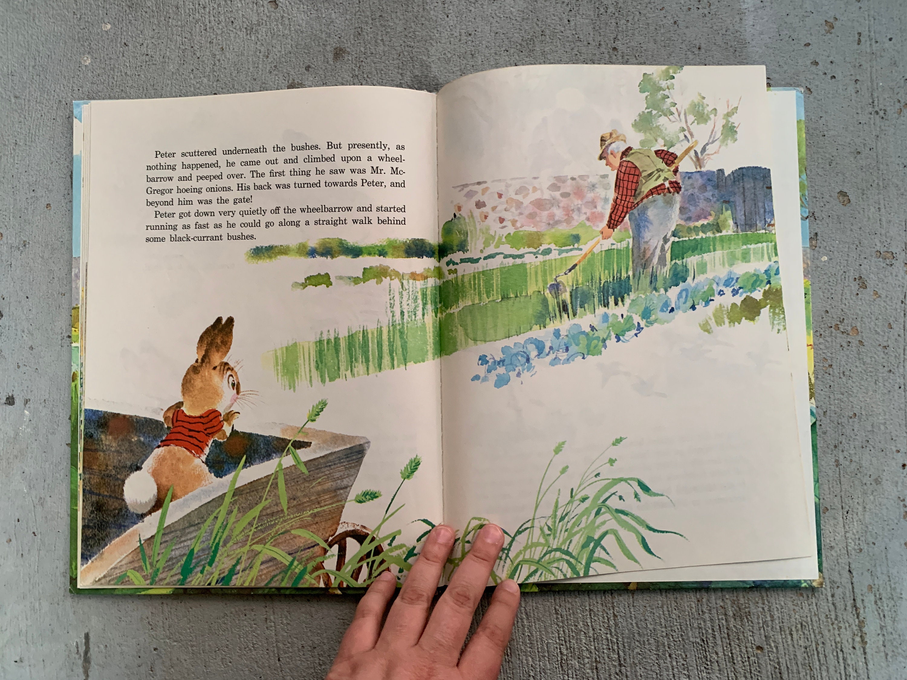 Vintage 1978 the Tale of Peter Rabbit by Beatrix Potter, Illustrated by ...