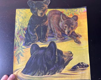 Vintage 1941 Jack Murray Bear Cubs River Magazine Cutout