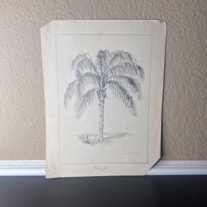 Puede incluir: Dibujo a lápiz vintage de una palmera. La obra de arte presenta una representación detallada de una palmera con largas frondas caídas y un tronco texturizado. La palabra "PALM" está escrita en la parte inferior del dibujo.