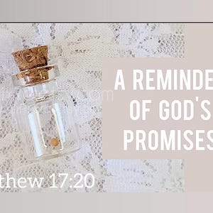 Mustard Seed Faith Gift: Tiny Hope Wish Bottle, Verse Card