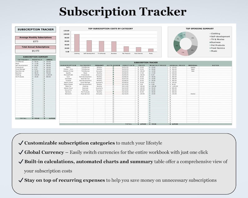 Paycheck Budget Planner Debt Spreadsheet Excel Template Google Sheets Debt Payoff Tracker Loan Repayment Calculator Personal Finance Bundle image 10