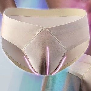 Men Camel Toe Brief Crossdresser Bottoms Padded Hip Shaper Fake Vagina  Underwear