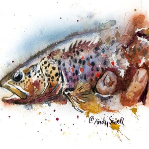 Brown Trout Splashes - Original transp. watercolor or print, Brown Trout wall art -  by Andy Sewell