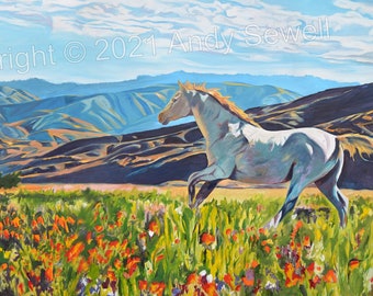 A "Freedom in the Foothills- Orig. painting or Canv, Giclée reprod. of oil painting. A white Horse or bronco in the Boise foothills!