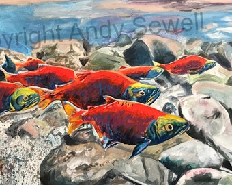 A "Return of the Reds" - an Original Oil Painting or Limited Edition Print of Sockeye salmon or Kokanee on the return upstream.