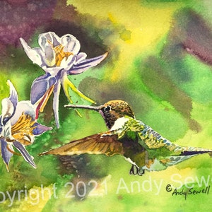Hummingbird Wall Art Print - 7&quot; x 11&quot; Watercolor Print S/N Ltd. Ed. by Andy Sewell, Bird Art, humming bird painting, Bird Gifts for him/her