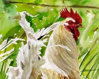 Rooster art print - 11" x 10" Original Watercolor painting or Print S/N Ltd. Ed. of country chicken by Andy Sewell