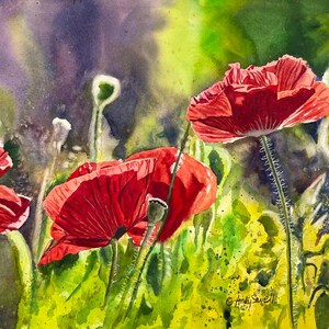Flowers, Poppy Art, Red flowers, Red Poppy Watercolor, Poppy wall art, Red Poppies - by Andy Sewell