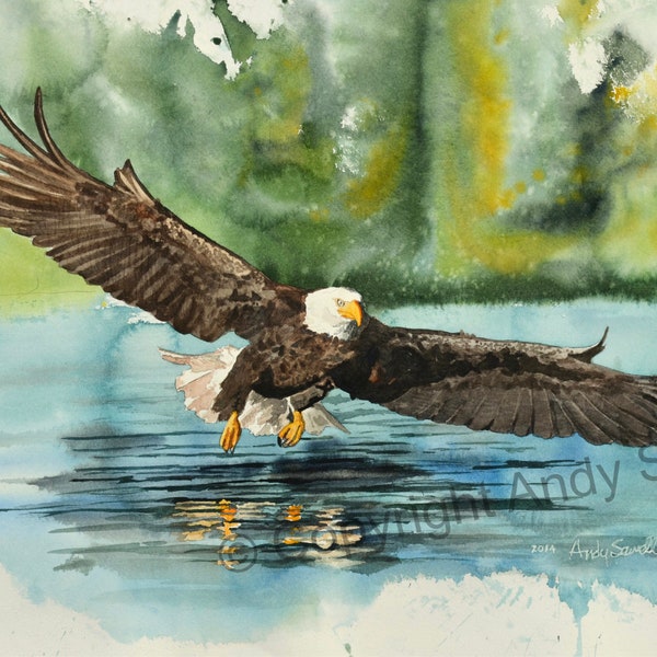 Fishing Eagle - a limited edition s/n giclee art print  from an original watercolor of an eagle over the water - by Andy Sewell