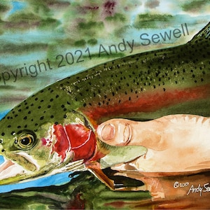 A &quot;Rainbow Release&quot; Rainbow Trout wall Art Print - a ltd. ed. s/n giclee rainbow trout art print from a watercolor - by Andy Sewell