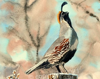 QUAIL on the Post art print - a ltd. edition s/n giclee watercolor print of California quail art - by Andy Sewell