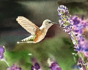 Hummingbird Wall Art Print - 7" x 11" Watercolor Print S/N Ltd. Ed. by Andy Sewell, Bird Art, humming bird painting, Bird Gifts for him/her