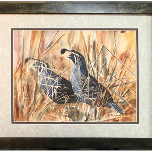 QUAIL in the GRASS art print an Original or a ltd. edition s/n giclee watercolor print of California quail art by Andy Sewell framed print 16x20 inches