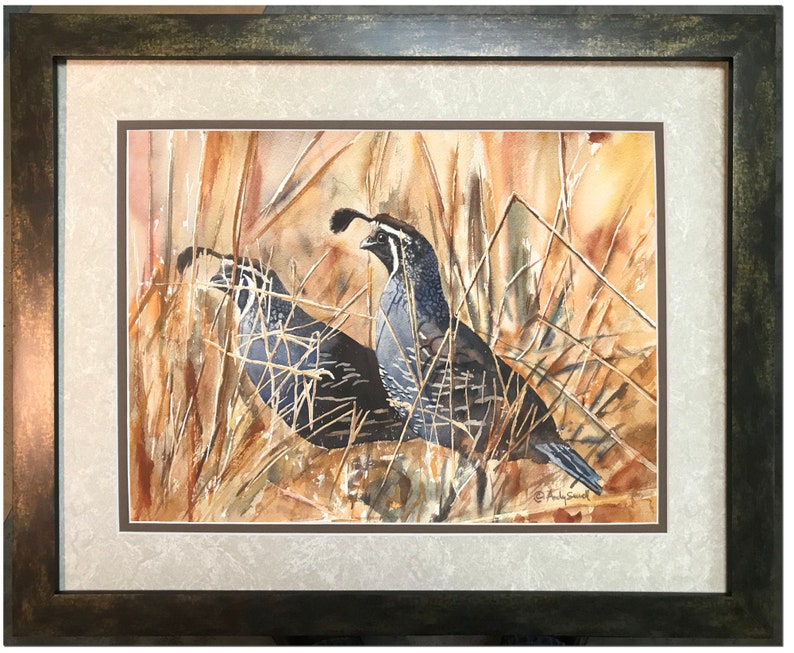 QUAIL in the GRASS art print an Original or a ltd. edition s/n giclee watercolor print of California quail art by Andy Sewell framed print 16x20 inches