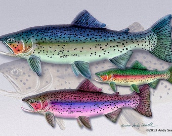 TROUT ART PRINT - an open edition  giclee reproduction of fly fishing art, watercolor print  - by Andy Sewell