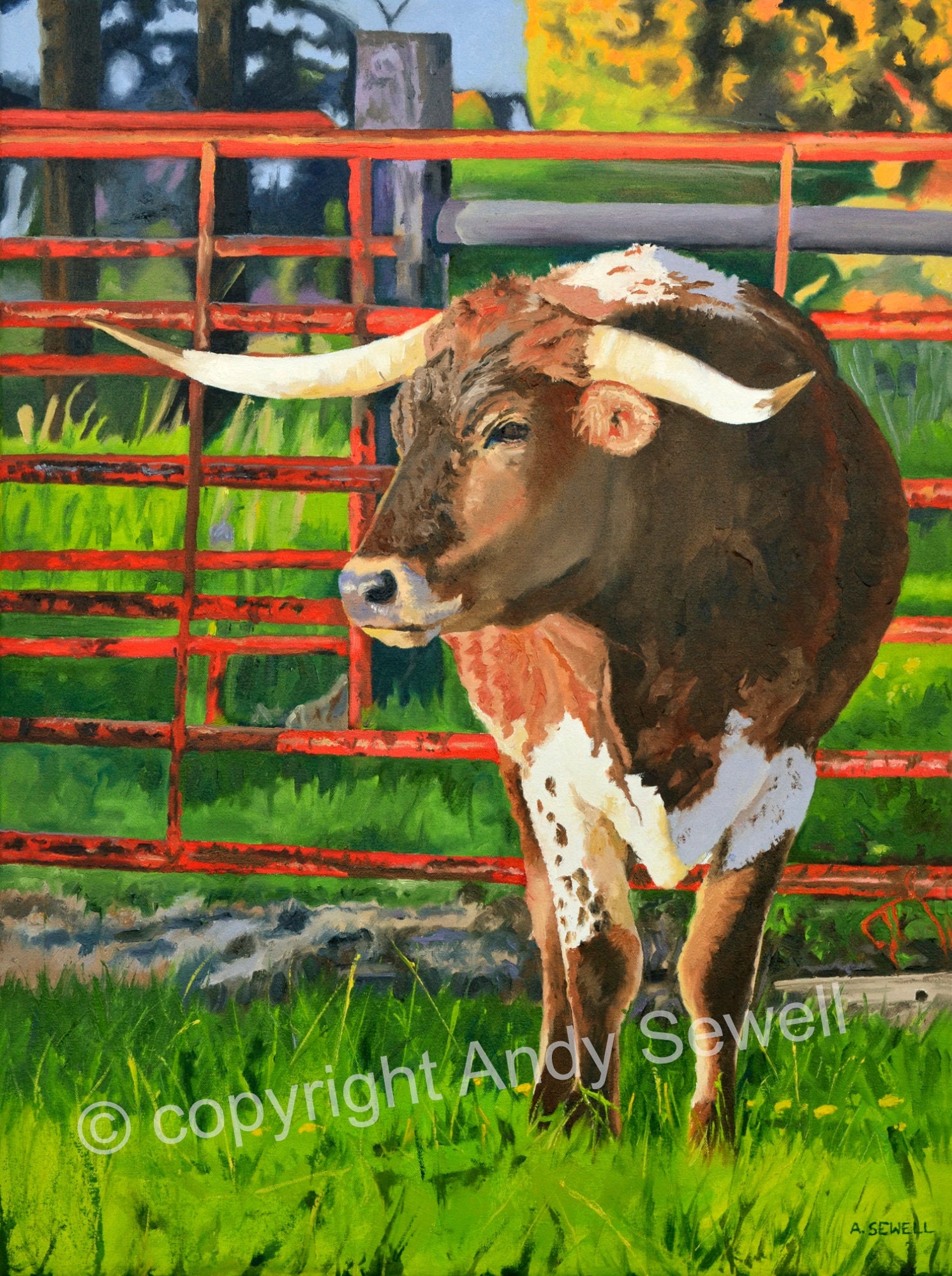 Texas Longhorn art print Longhorn Ted Fine art Giclée print signed