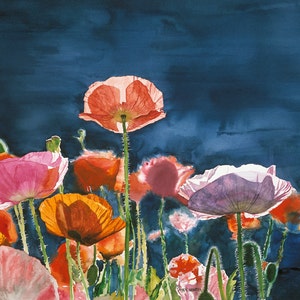 Red Poppy Art Print - a limited edition s/n giclee art print from an original watercolor of poppies glowing in the sun - by Andy Sewell