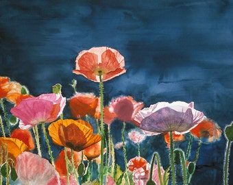 Red Poppy Art Print - a limited edition s/n giclee art print from an original watercolor of poppies glowing in the sun - by Andy Sewell