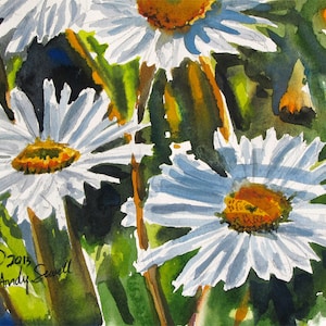 Daisy Art Print - a limited edition s/n giclee art print from an original watercolor of daisies in the sunshine - by Andy Sewell