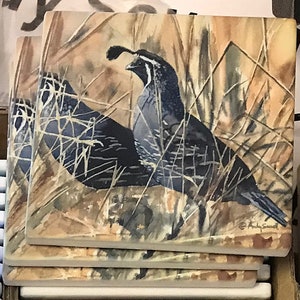 QUAIL in the GRASS art print an Original or a ltd. edition s/n giclee watercolor print of California quail art by Andy Sewell set of 4 coasters 4 inches