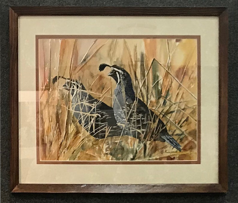 QUAIL in the GRASS art print an Original or a ltd. edition s/n giclee watercolor print of California quail art by Andy Sewell image 4